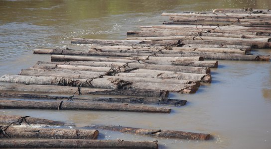 Timber on the River Tamaya3
