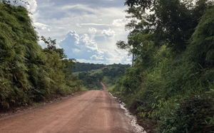 Amazon road