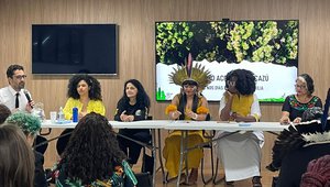 Panelists at the Escazú event in Brasilia.