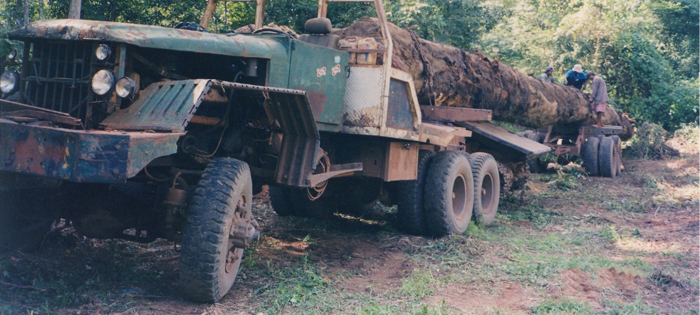 Cambodia logging