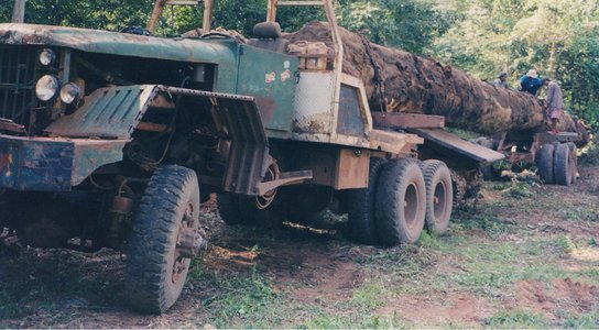 Cambodia logging
