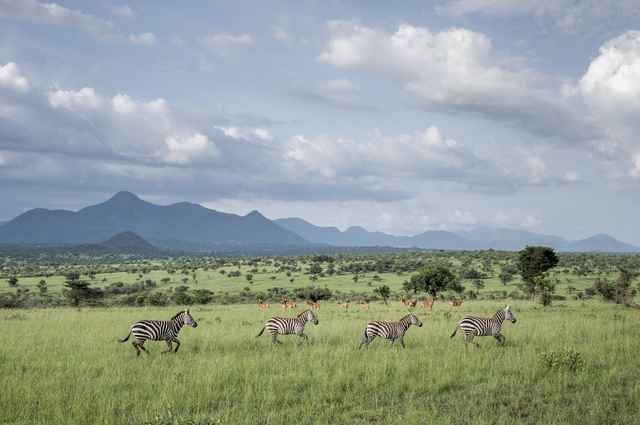 Kidepo national park