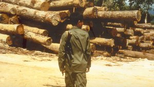 soldier with logs resize